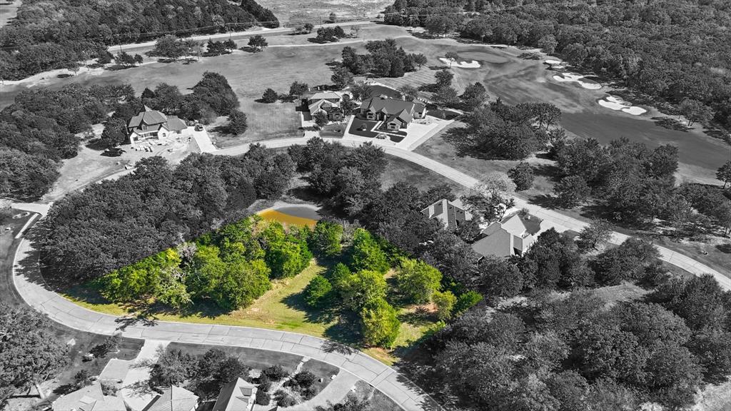 a view of a garden with plants
