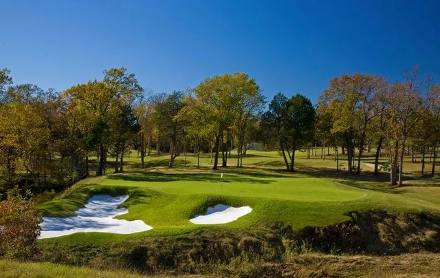 a view of a large trees with a big yard