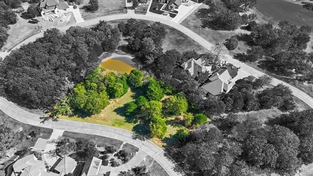 a view of a yard with plants and large trees