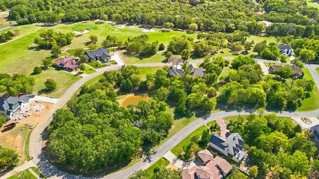 a view of a garden with plants