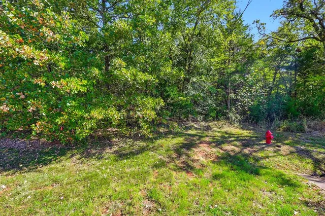 a view of a green field with lots of bushes