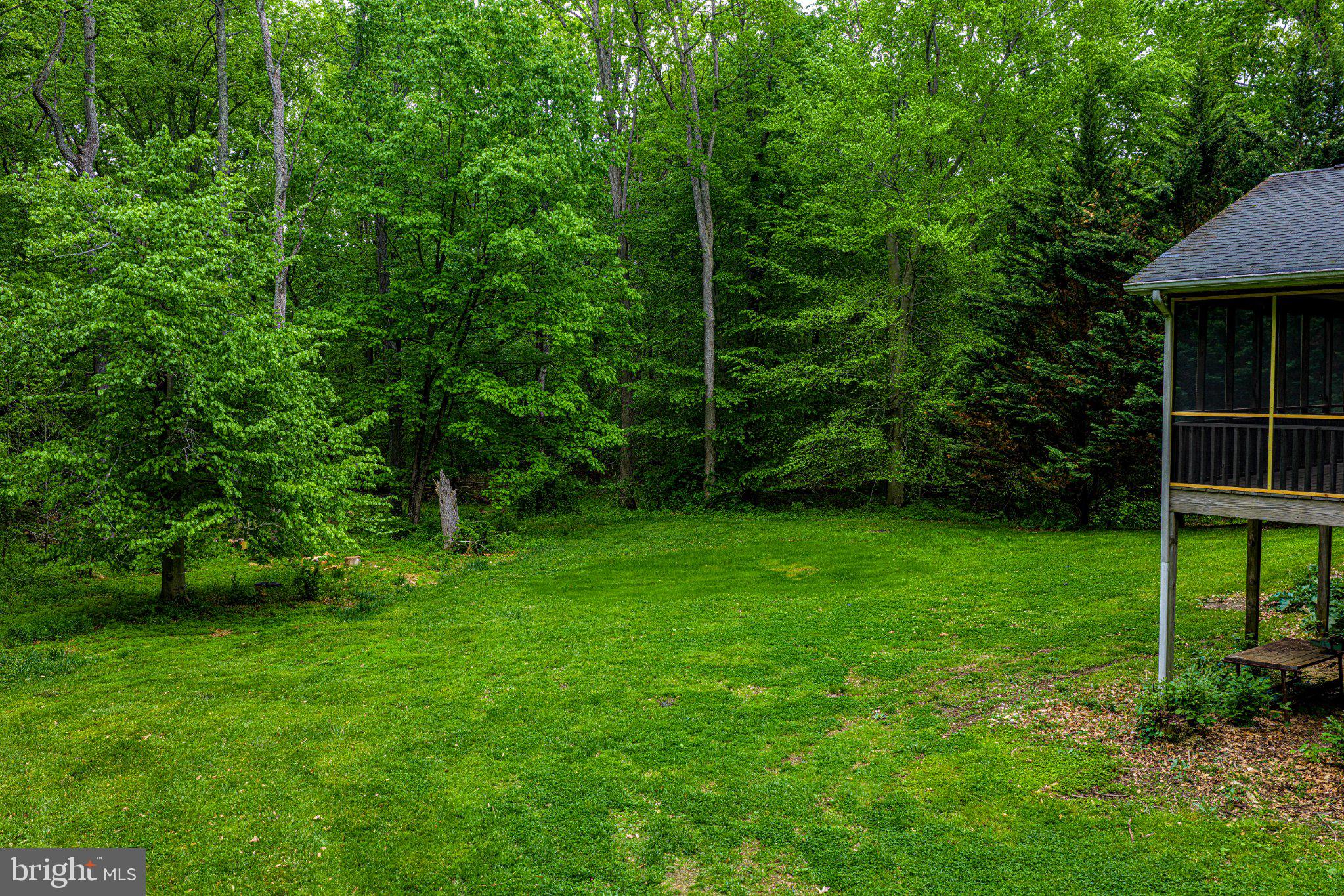 711 Gilbert Road Aberdeen, MD 21001 - Photo 44 of 54 a view of lush green space
