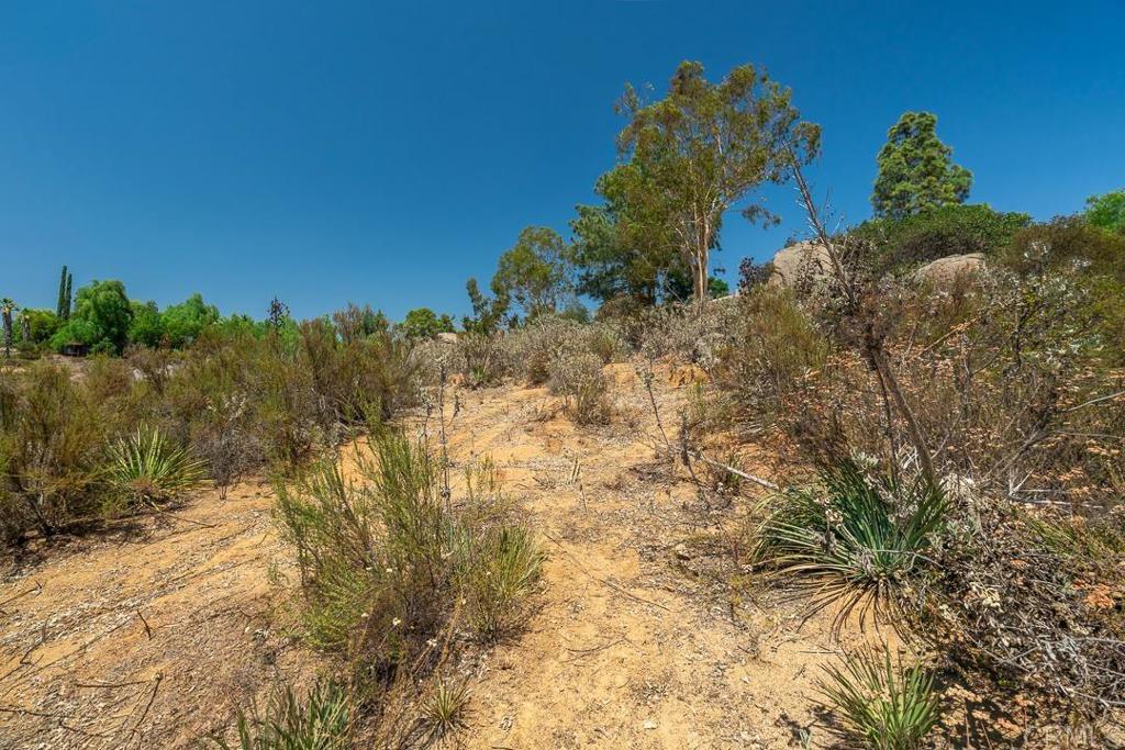 688 Starbright Lane Alpine, CA 91901 - Photo 18 of 19