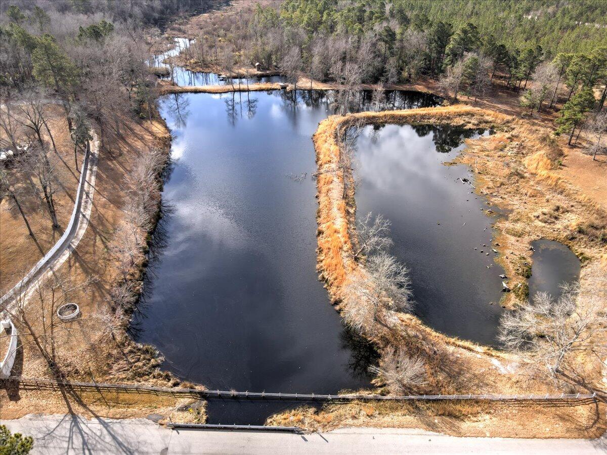 310 Grandys Mill Road Williston, SC 29853 - Photo 53 of 65