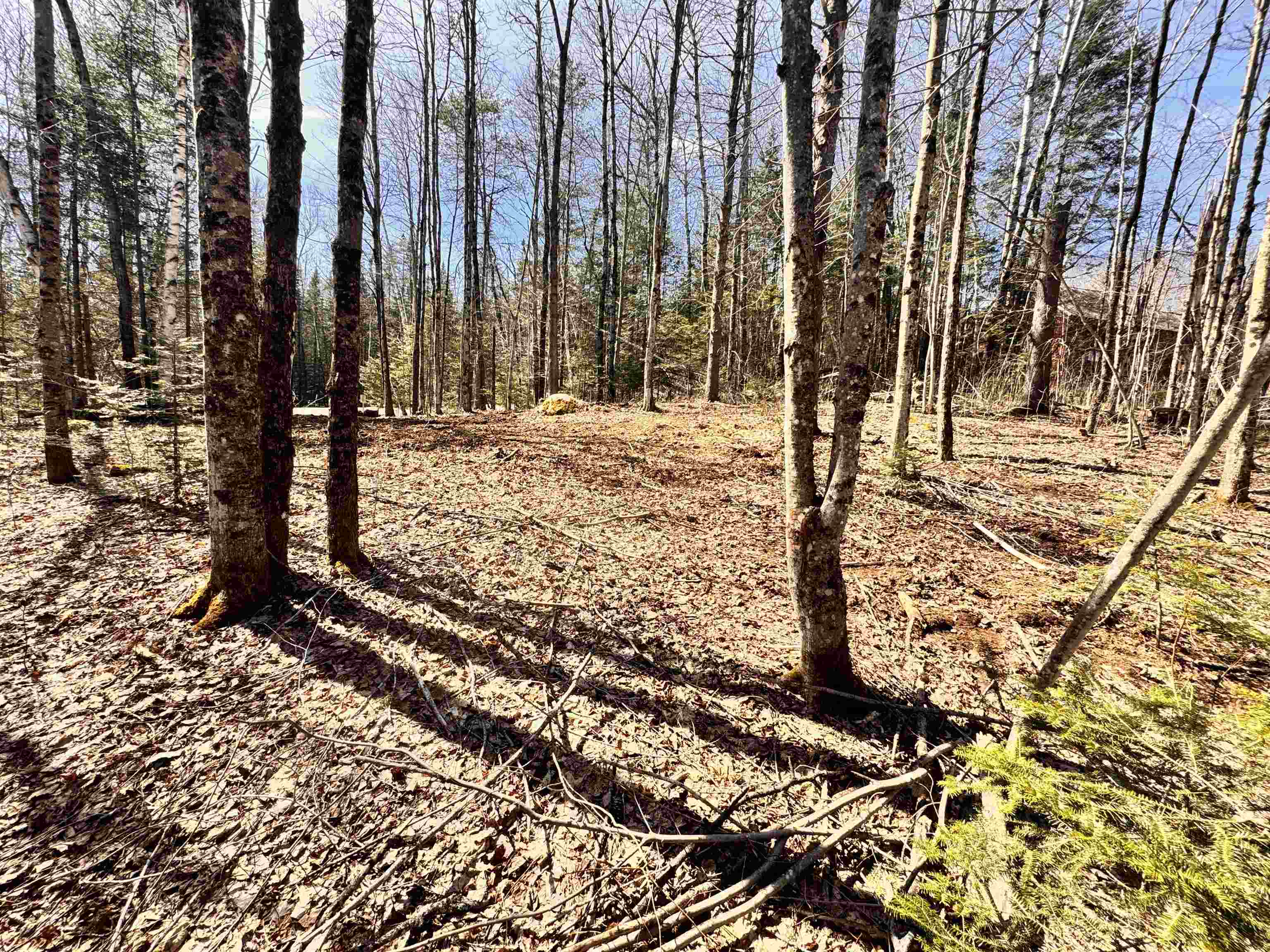 Lot 27 Westside Road Lunenburg, VT 05906 - Photo 11 of 14