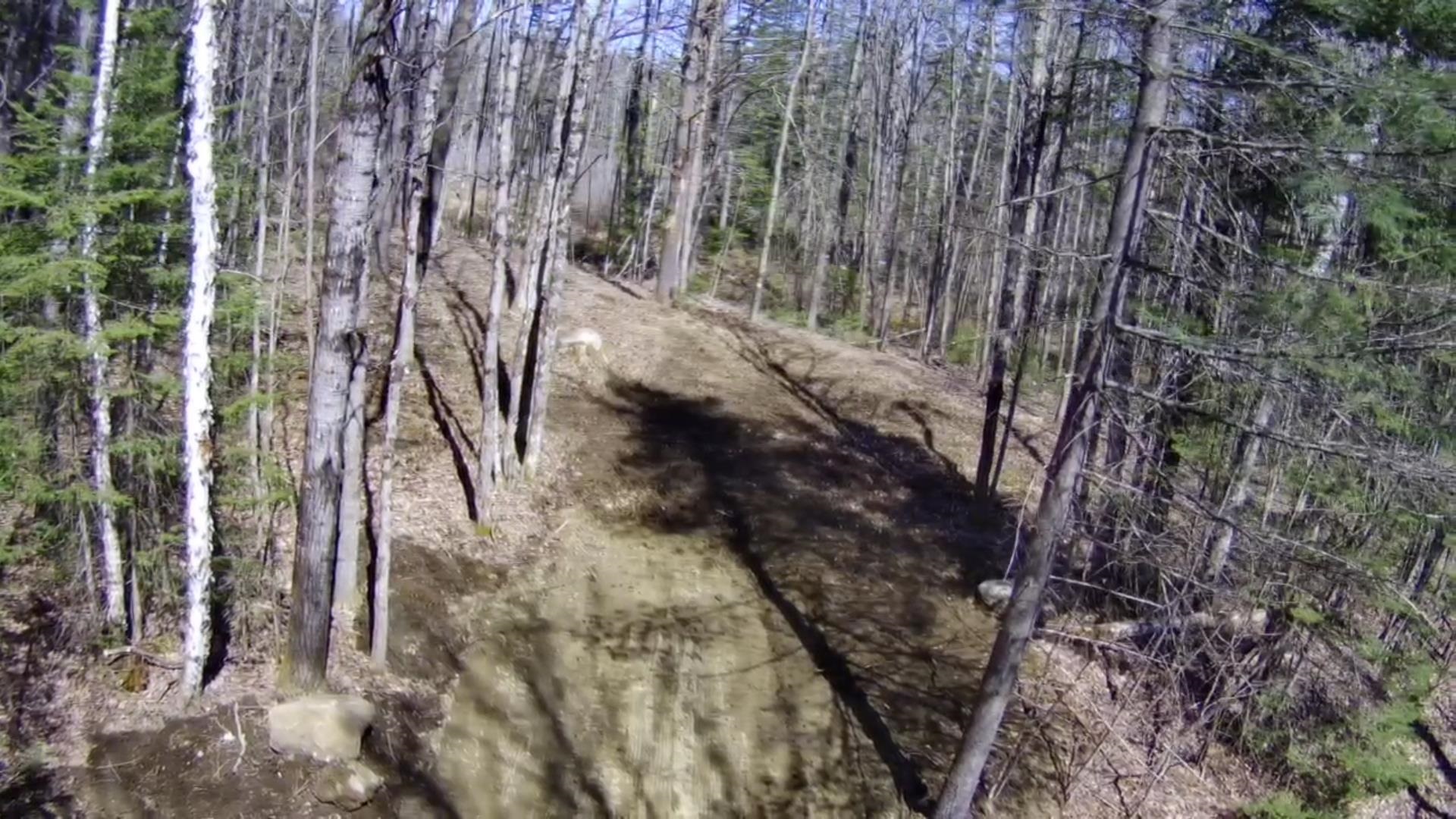 Lot 27 Westside Road Lunenburg, VT 05906 - Photo 14 of 14