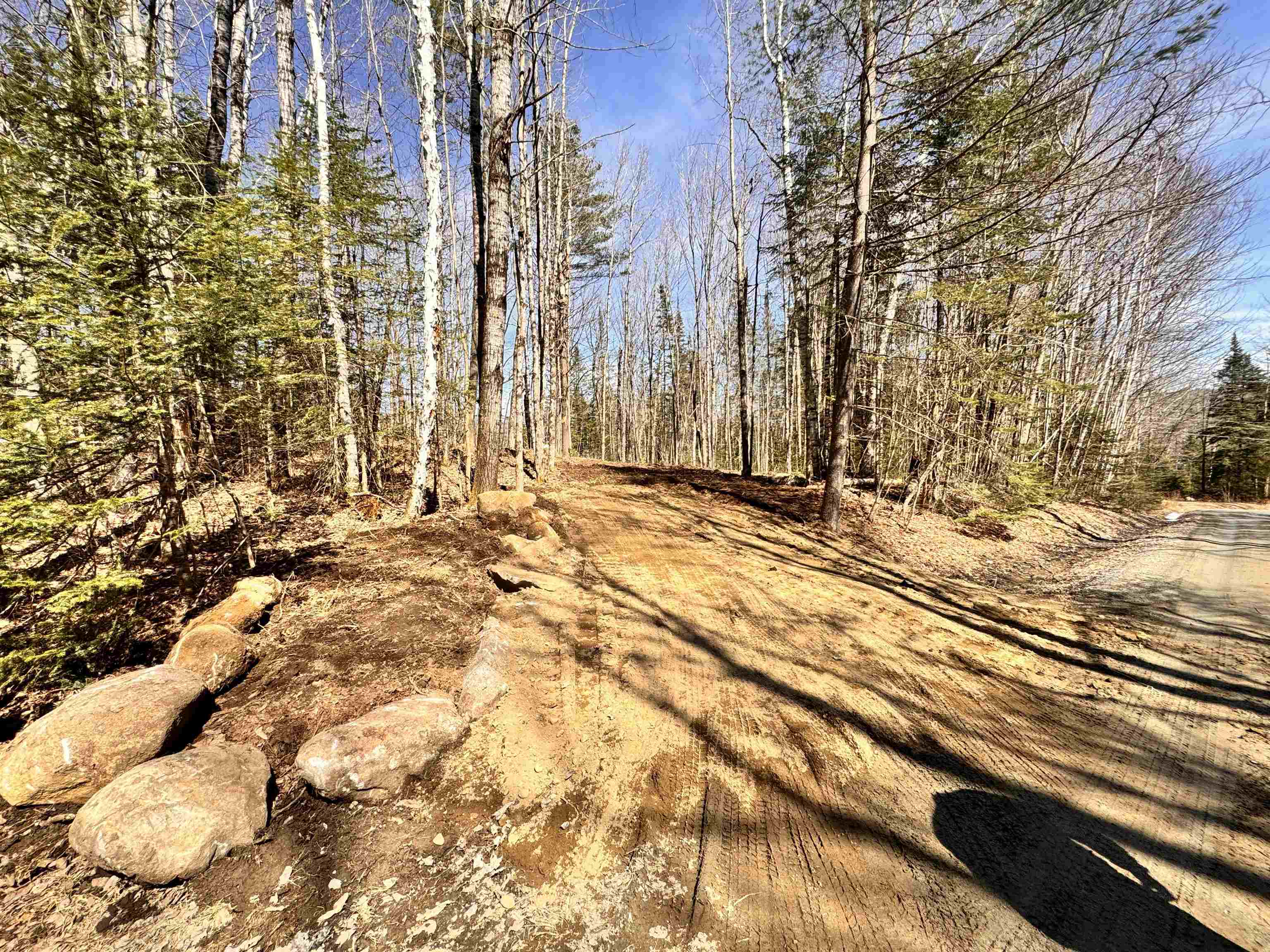 Lot 27 Westside Road Lunenburg, VT 05906 - Photo 7 of 14