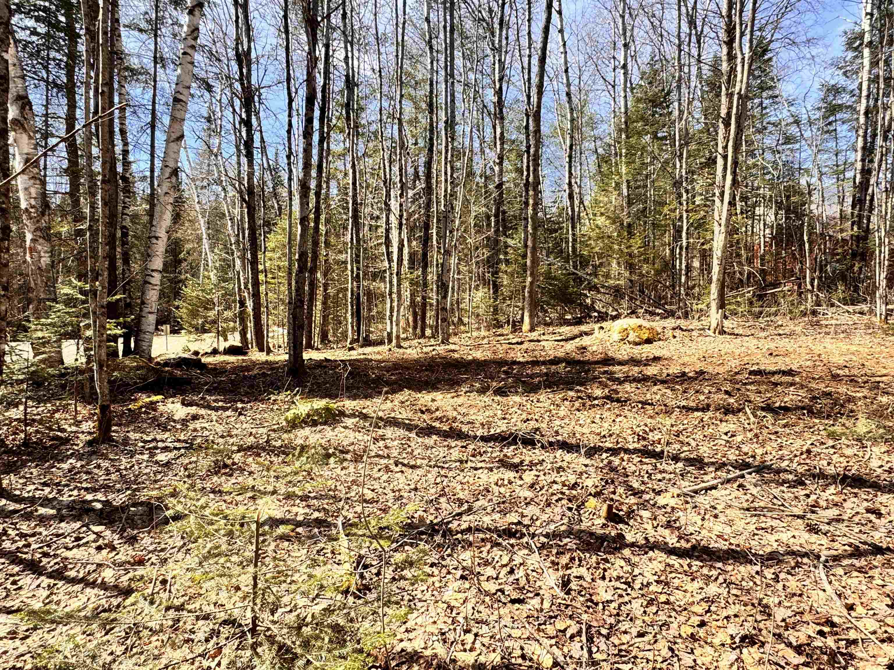 Lot 27 Westside Road Lunenburg, VT 05906 - Photo 8 of 14