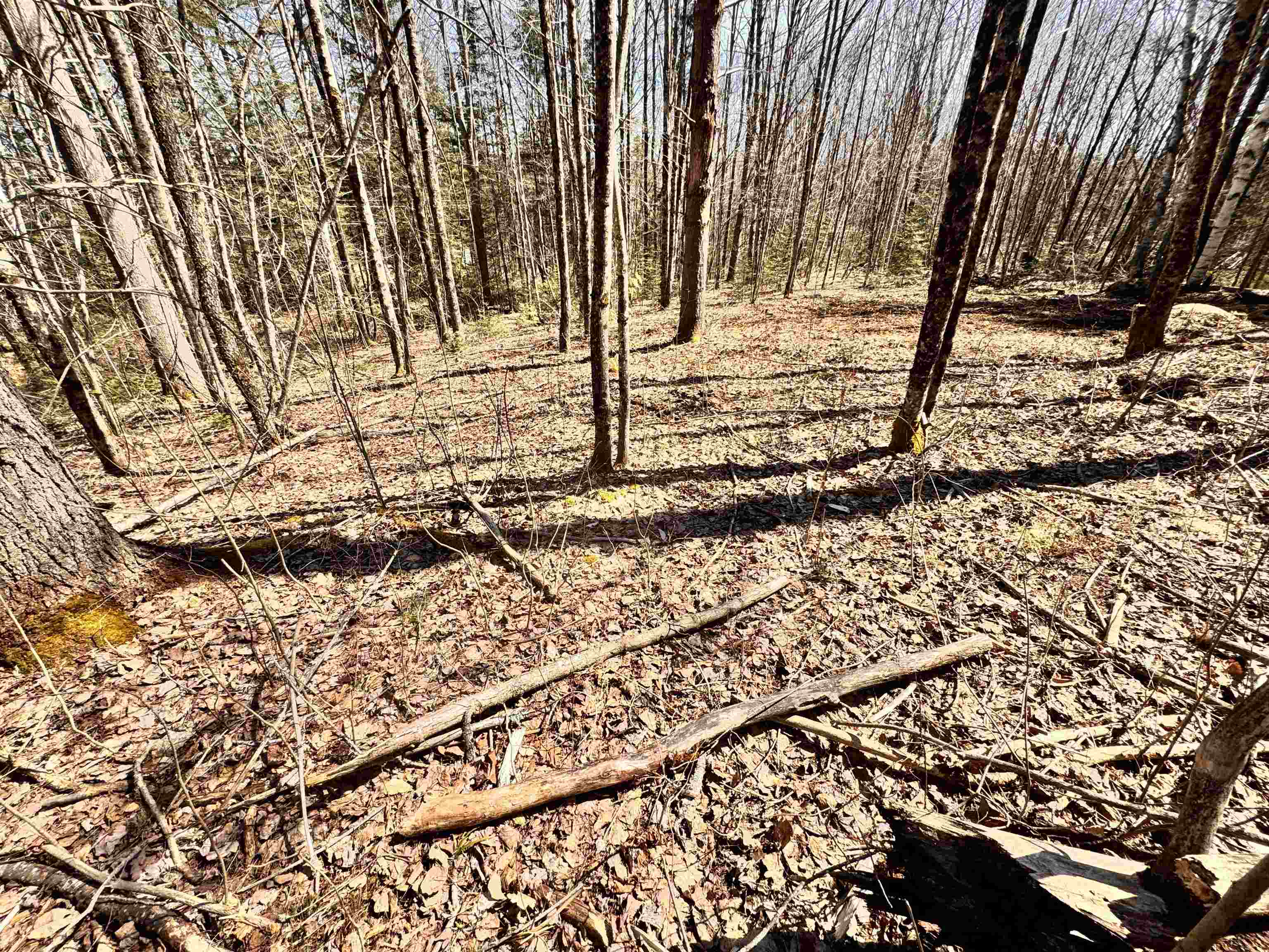 Lot 27 Westside Road Lunenburg, VT 05906 - Photo 9 of 14