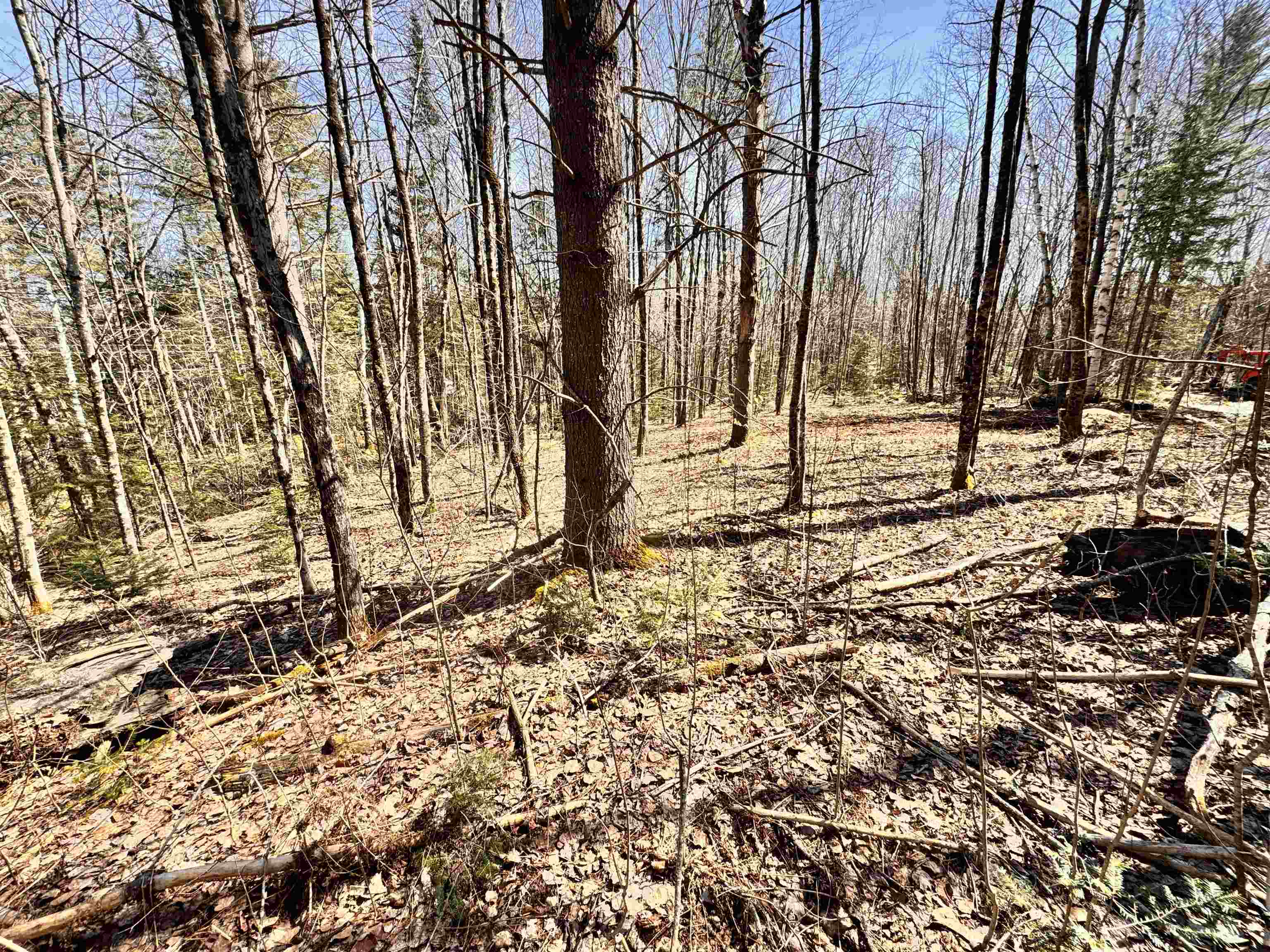 Lot 27 Westside Road Lunenburg, VT 05906 - Photo 10 of 14