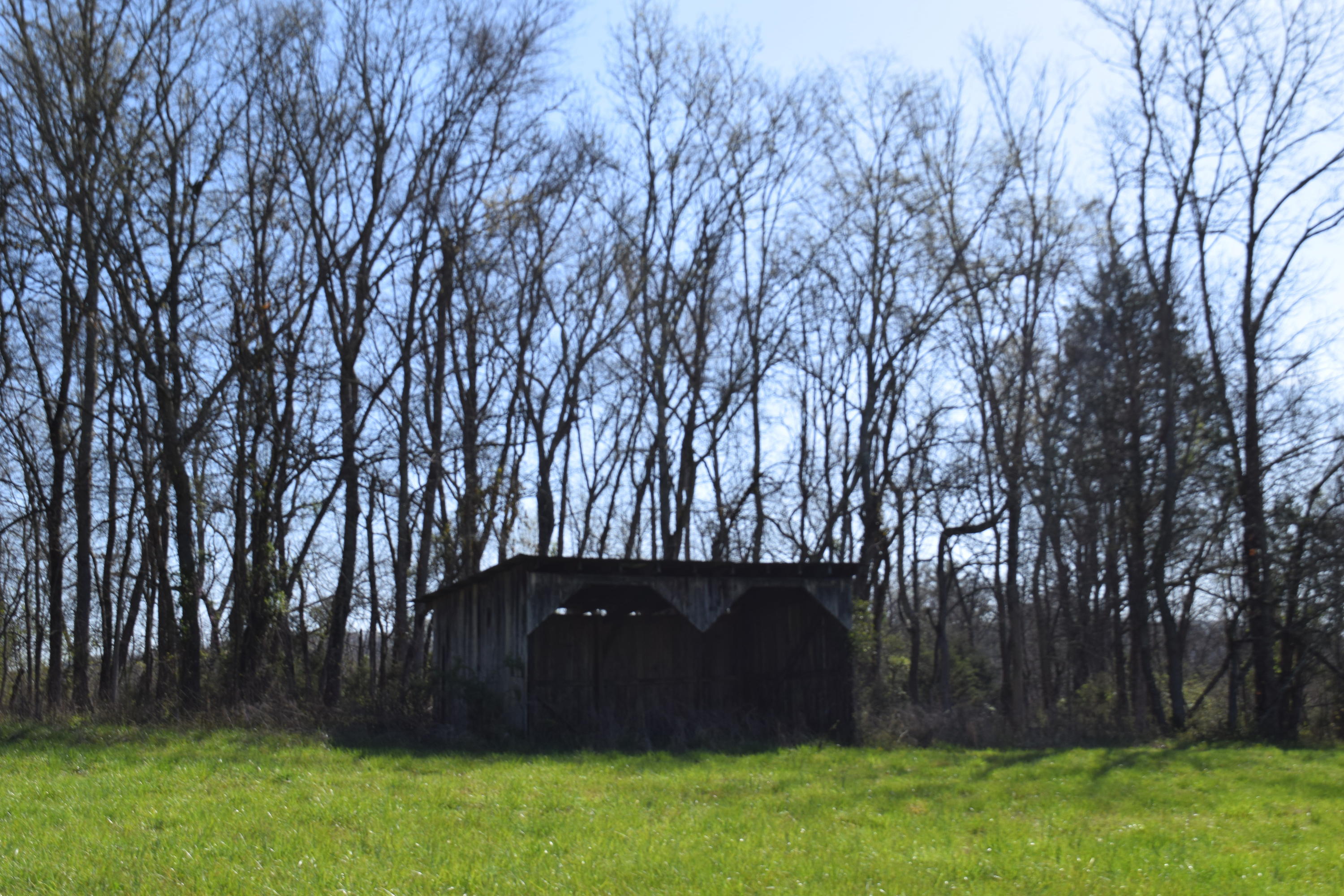 160 Keisling Road Newport, TN 37821 - Photo 1 of 13 160 Keisling Rd Bybee TN 37713 (1)