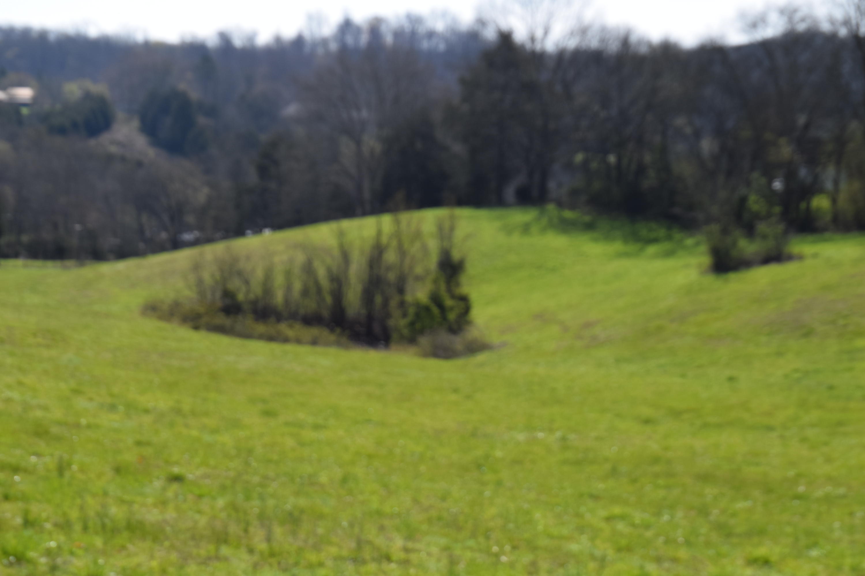 160 Keisling Road Newport, TN 37821 - Photo 2 of 13 160 Keisling Rd Bybee TN 37713 (2)
