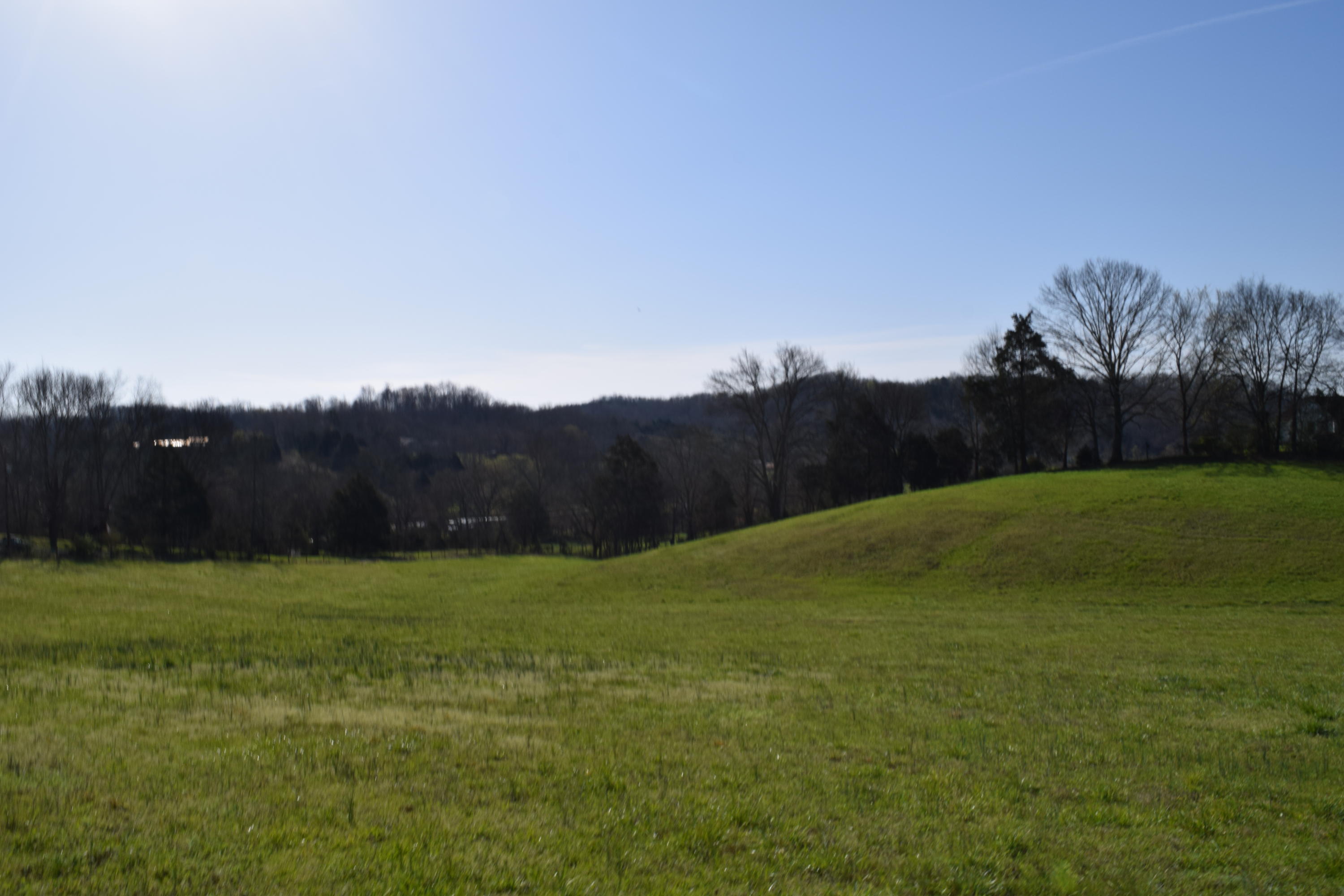 160 Keisling Road Newport, TN 37821 - Photo 12 of 13 160 Keisling Rd Bybee TN 37713 (12)