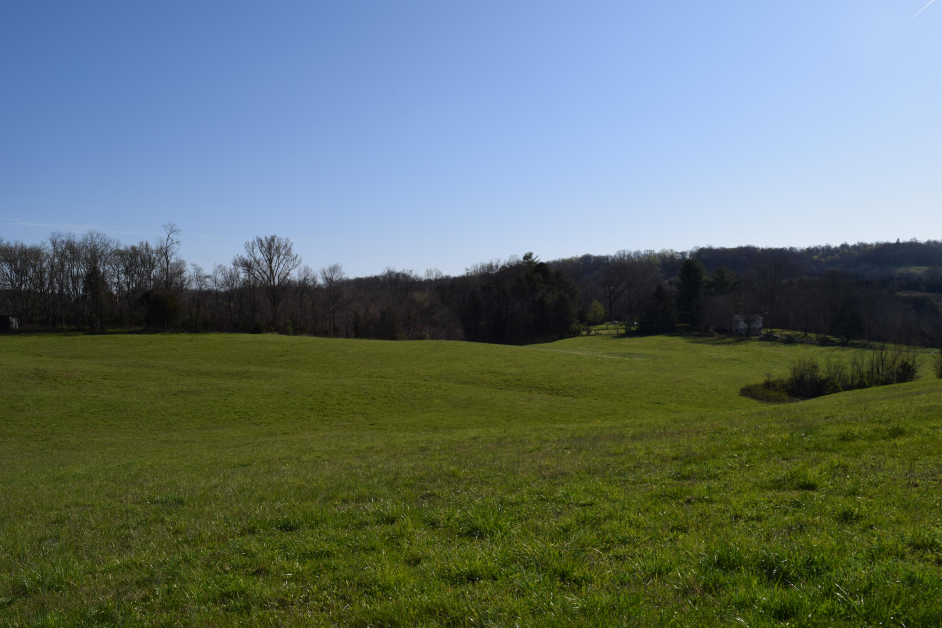 160 Keisling Road Newport, TN 37821 - Photo 8 of 13 160 Keisling Rd Bybee TN 37713 (8)