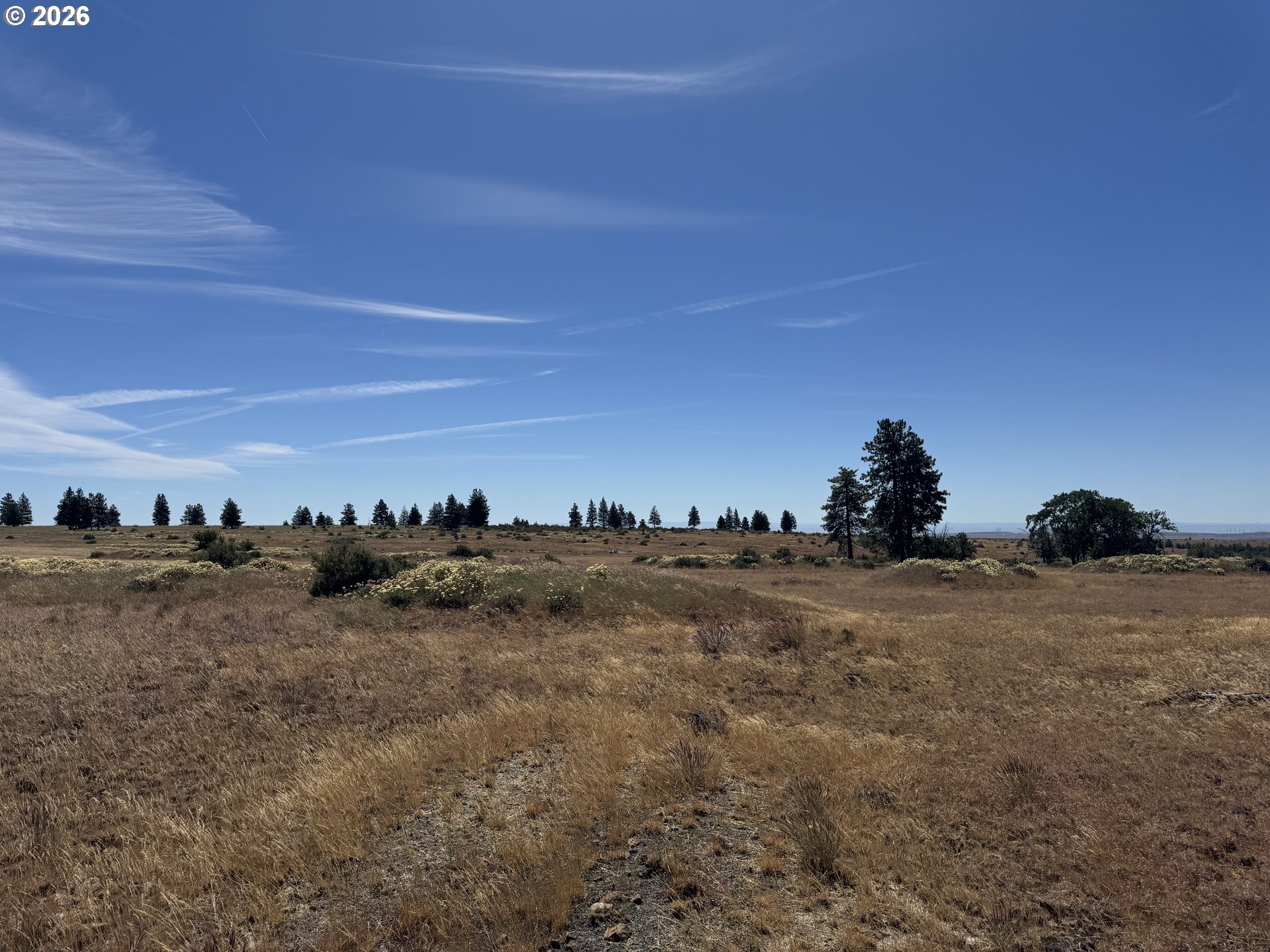 0 Bickleton Highway Bickleton, WA 99322 - Photo 9 of 15