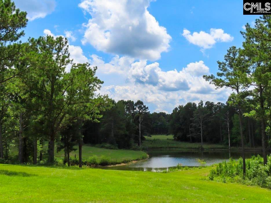 529 Martin Road Winnsboro, SC 29180 - Photo 79 of 83 Gallery Image 79