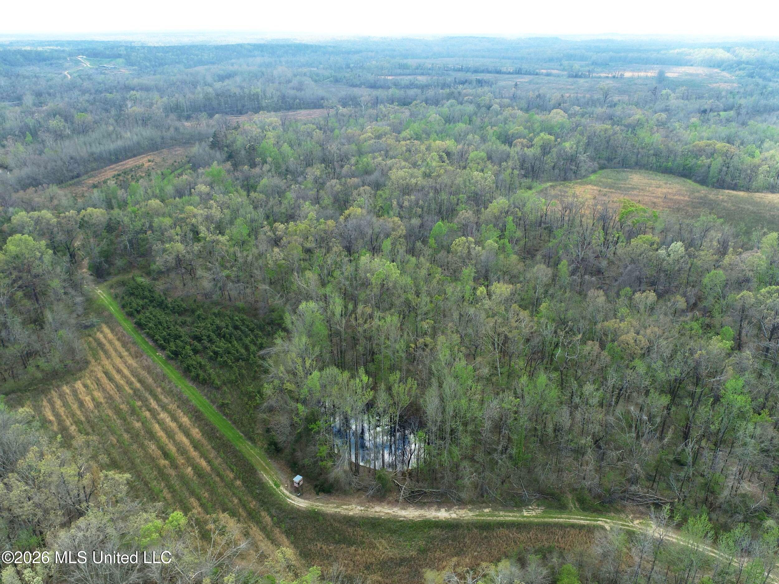 Chinqupin Road Lexington, MS 39095 - Photo 1 of 210 7chqpn36