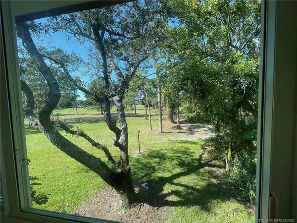 a view of swimming pool from a window