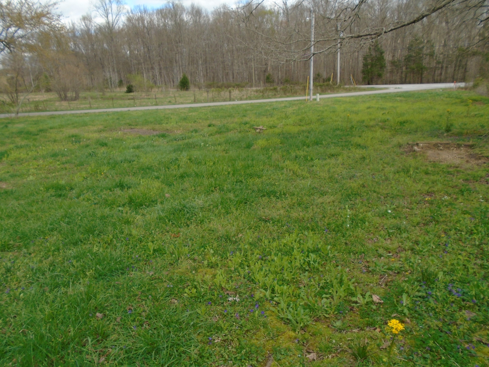 3140 Jernigans Branch Road Beechgrove, TN 37018 - Photo 16 of 16