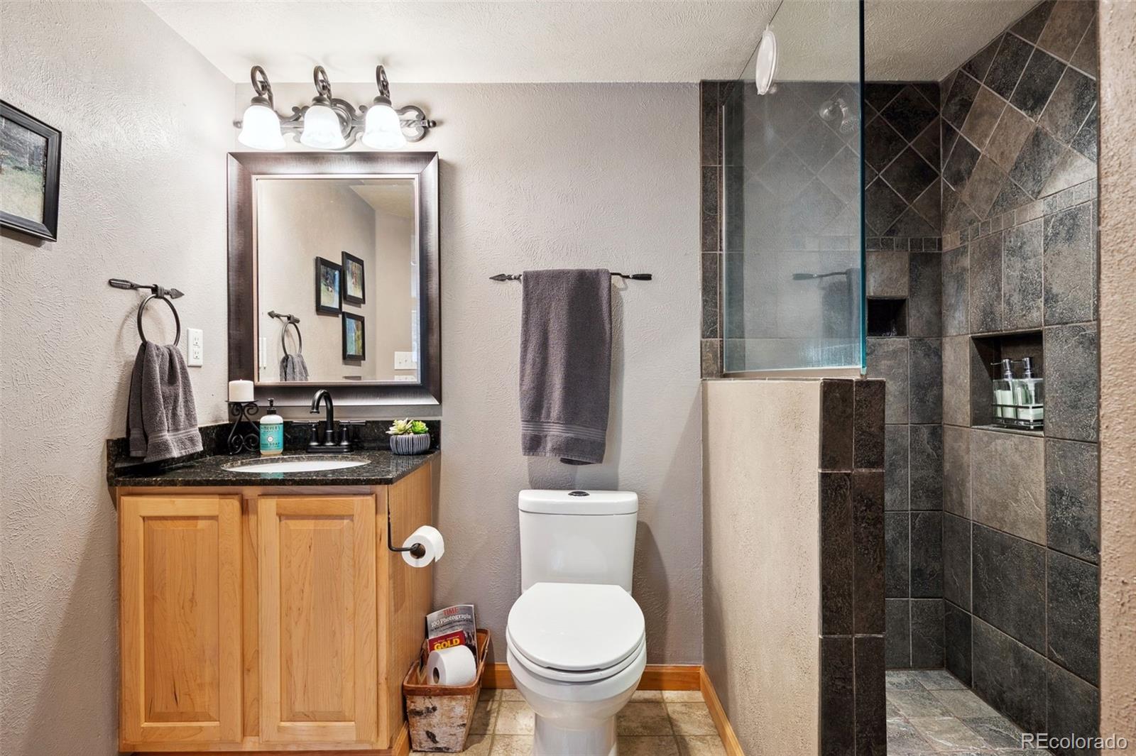 266 Lodgepole Drive Evergreen, CO 80439 - Photo 24 of 45 a bathroom with a toilet a sink and mirror