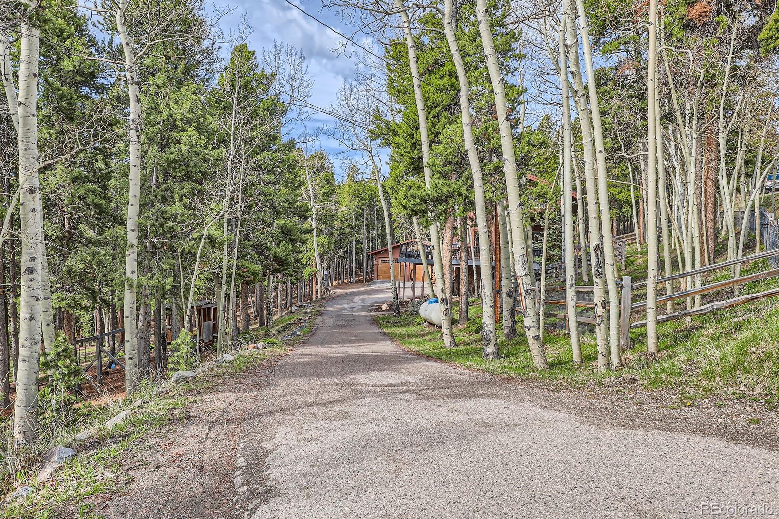 266 Lodgepole Drive Evergreen, CO 80439 - Photo 42 of 45 a view of a backyard with plants
