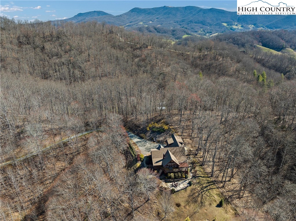 402 Fletcher Branch Road Vilas, NC 28692 - Photo 8 of 50 Gallery Image 8