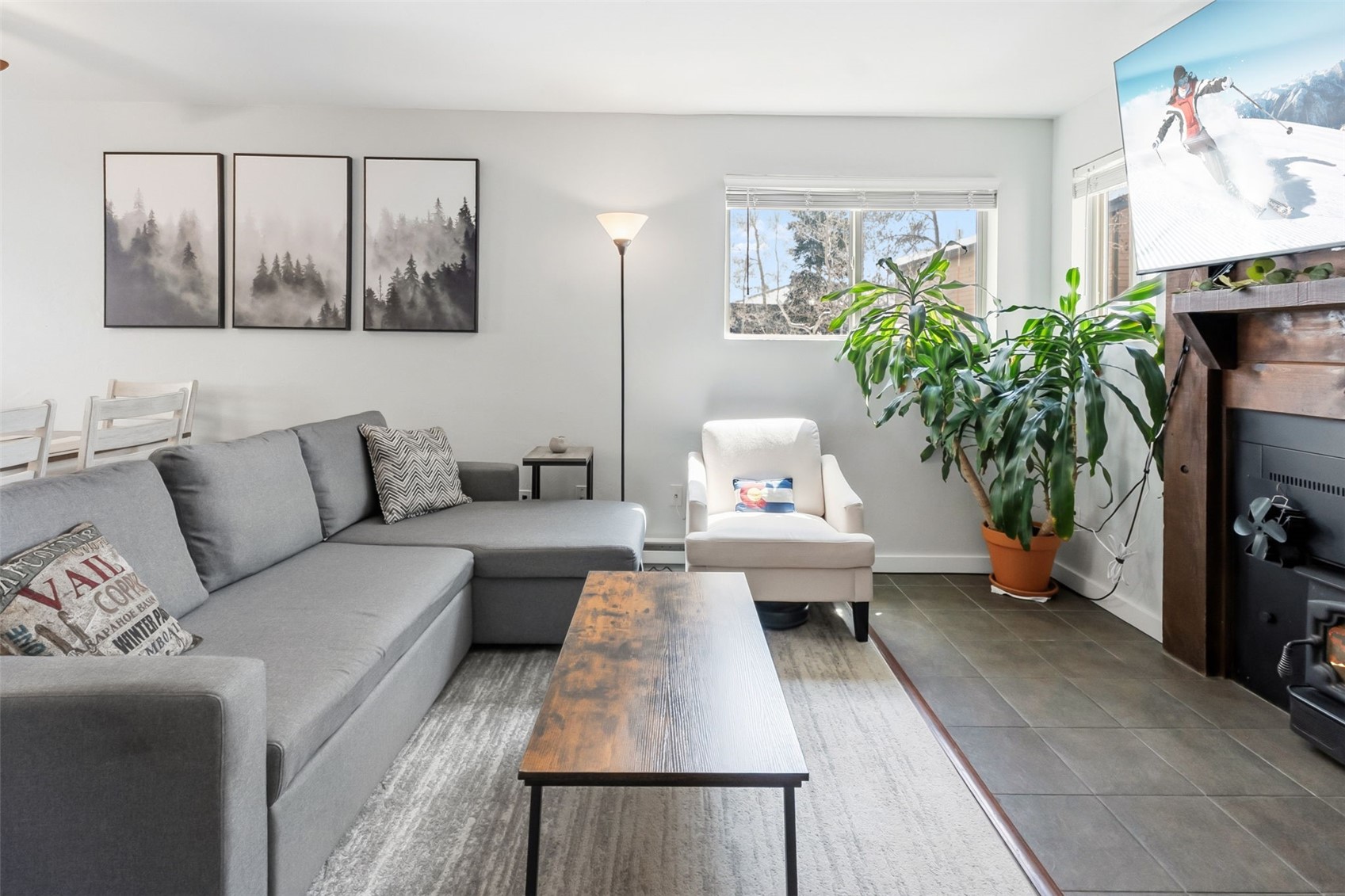 6920 Ryan Gulch Road, Unit 6920 Silverthorne, CO 80498 - Photo 5 of 48 a living room with furniture and a potted plant