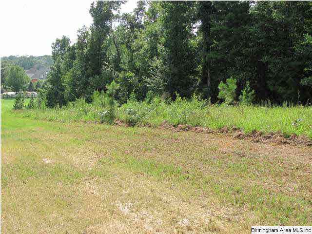 100 Cahaba Oaks Trail Pelham, AL 35124 - Photo 16 of 24