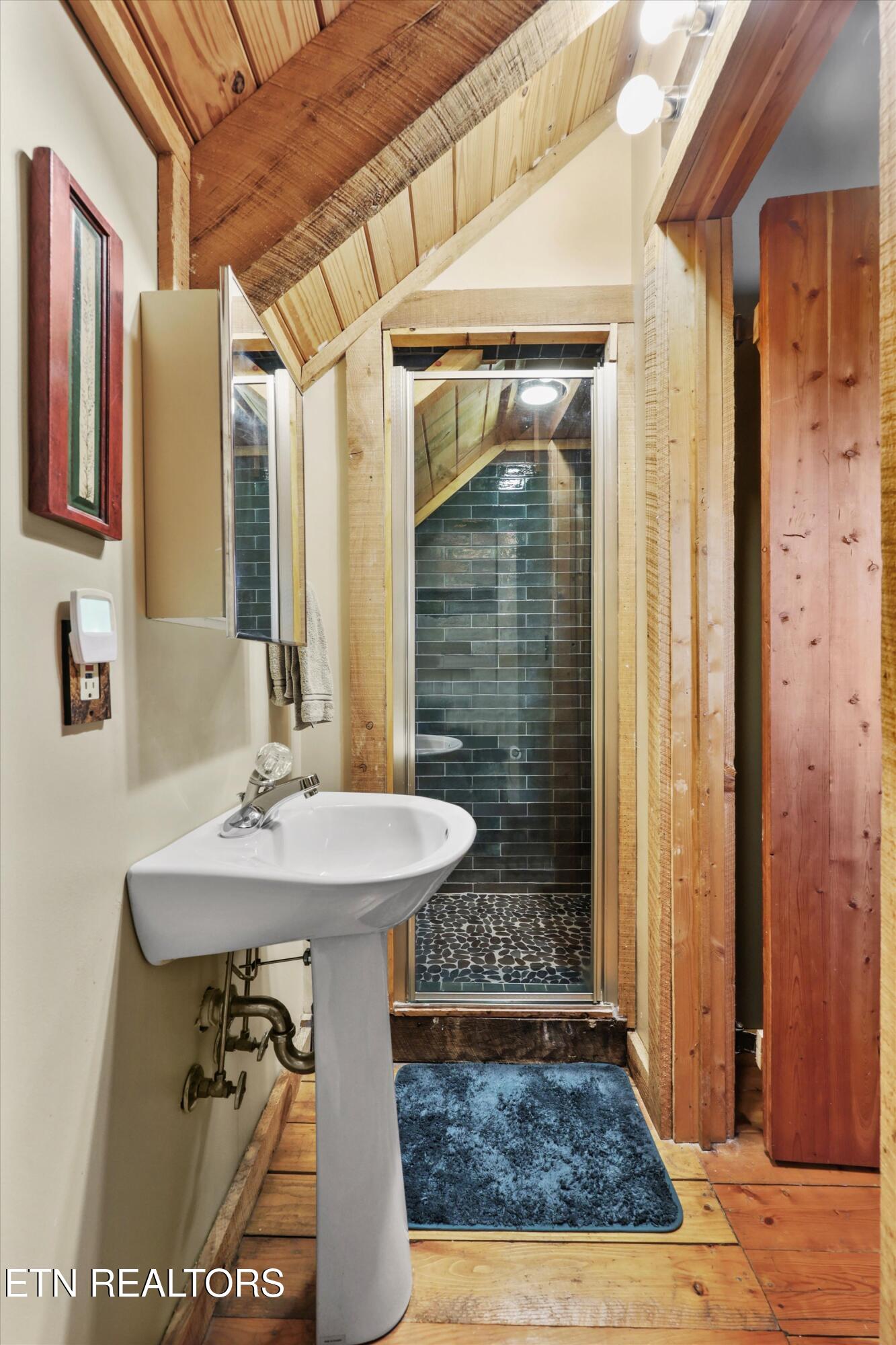 316 Laurel Road Townsend, TN 37882 - Photo 25 of 47 26-316 Laurel Rd21