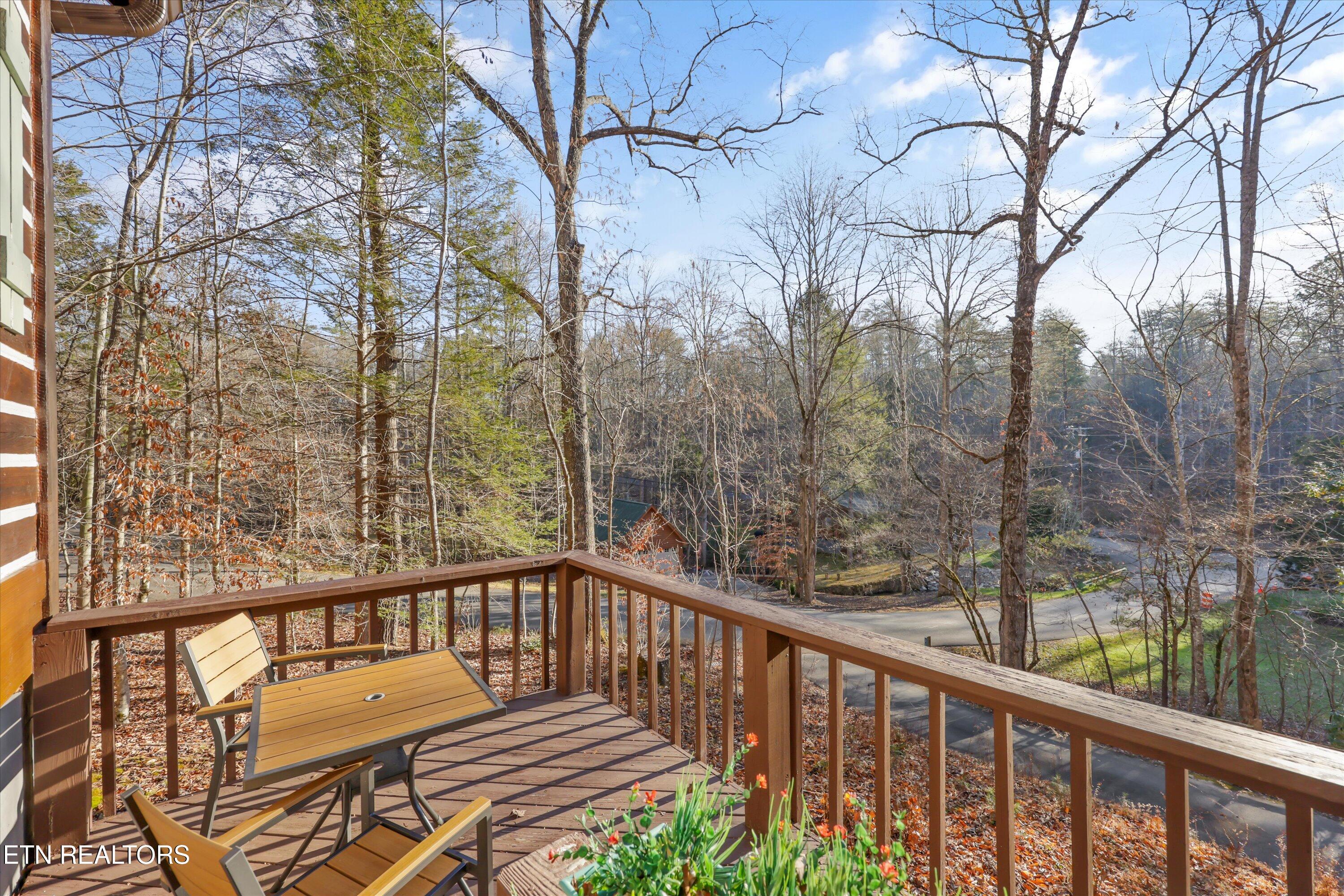 316 Laurel Road Townsend, TN 37882 - Photo 30 of 47 16-316 Laurel Rd11