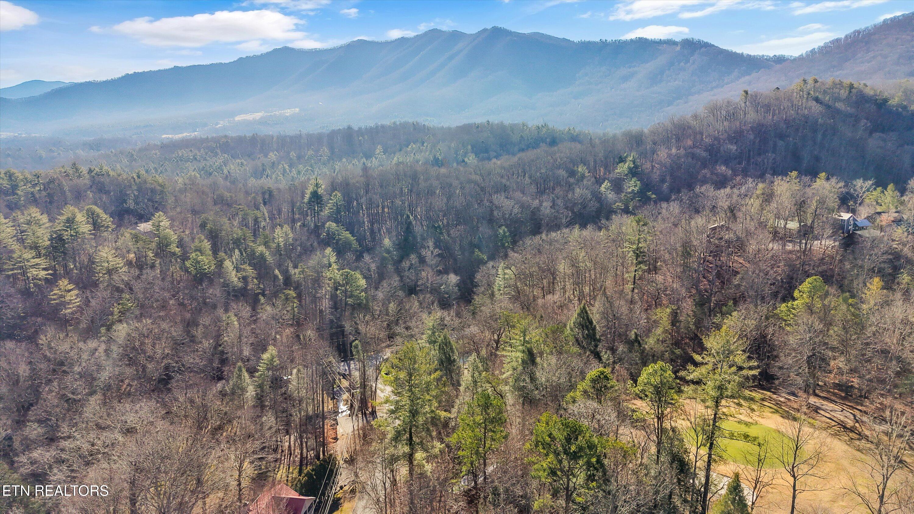 316 Laurel Road Townsend, TN 37882 - Photo 36 of 47 37-316 Laurel Rd37