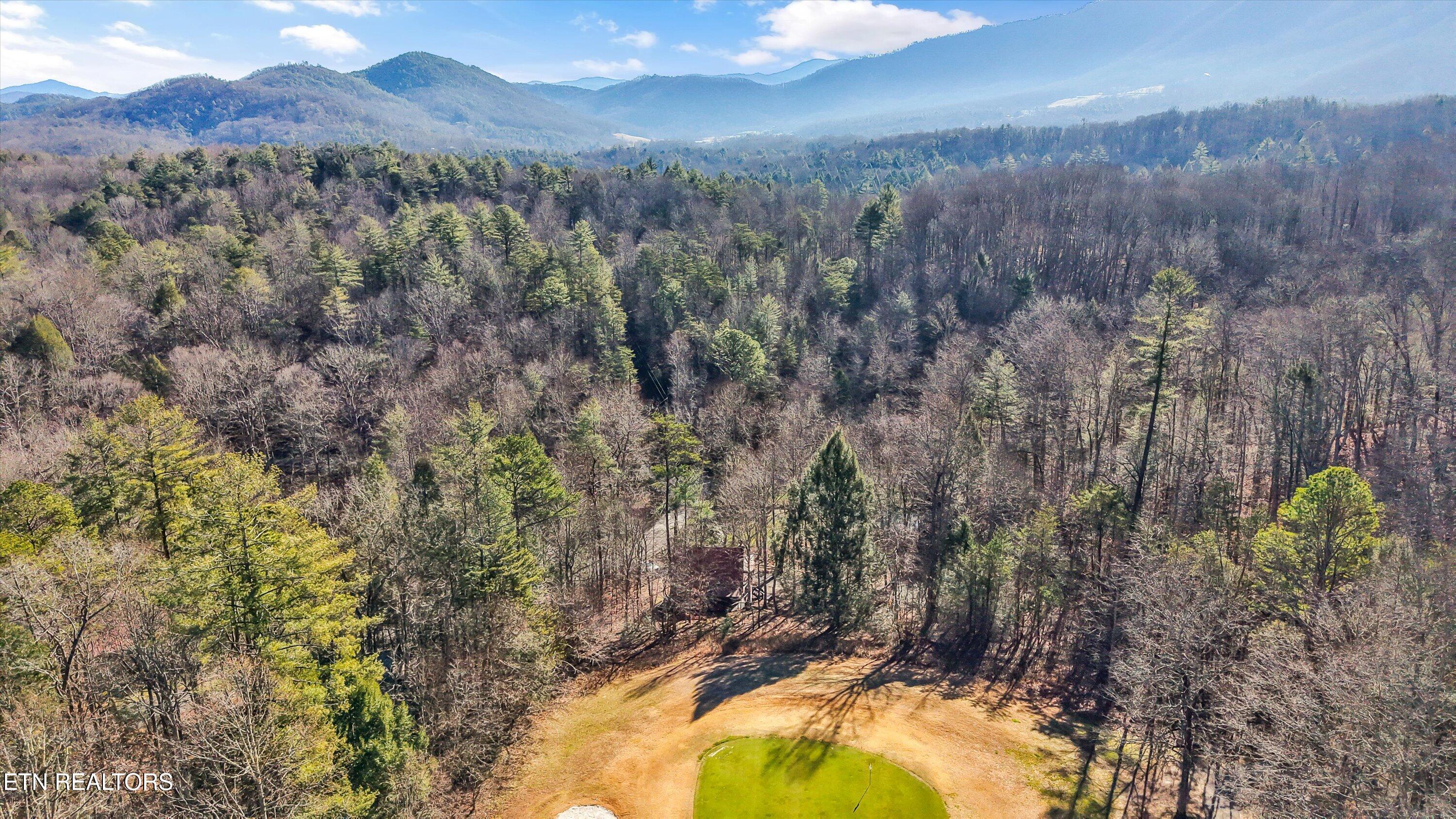 316 Laurel Road Townsend, TN 37882 - Photo 45 of 47 36-316 Laurel Rd36