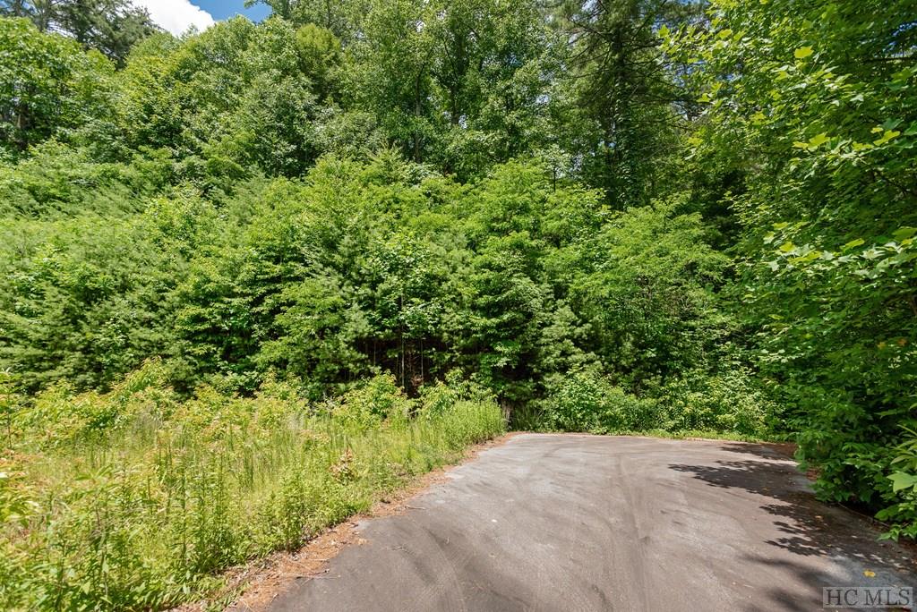 102 West Marlett Road Cullowhee, NC 28723 - Photo 5 of 22 Gallery Image 5