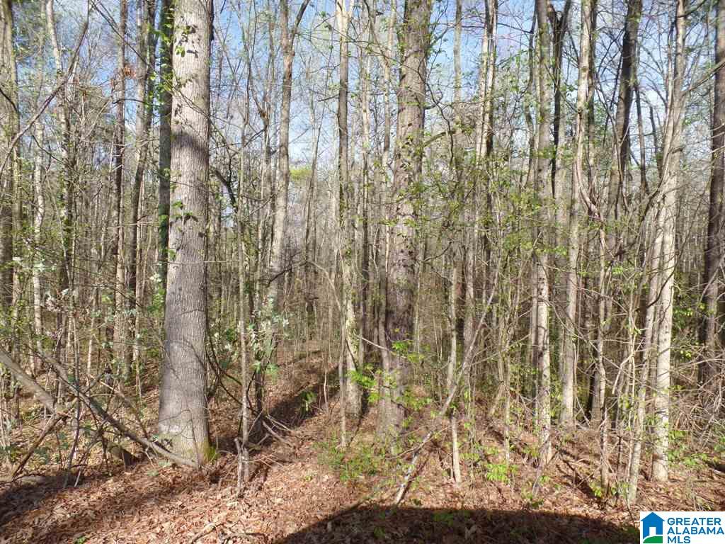 Azalea Street, Unit 2 51 Heflin, AL 36264 - Photo 5 of 14