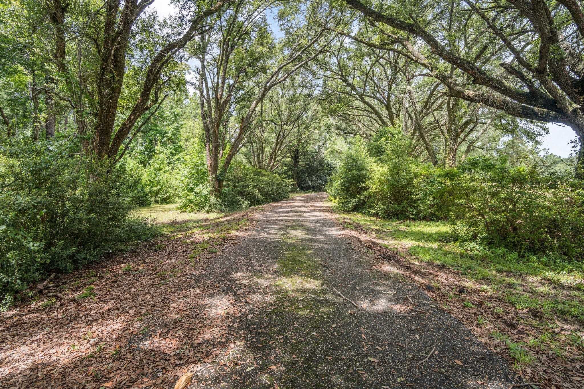 41233 Highway 59 Bay Minette, AL 36507 - Photo 4 of 45
