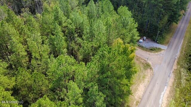 5464 A Pecan Orchard Road Liberty, MS 39645 - Photo 5 of 14 thumbnail_dji_fly_20250925_114248_30_175