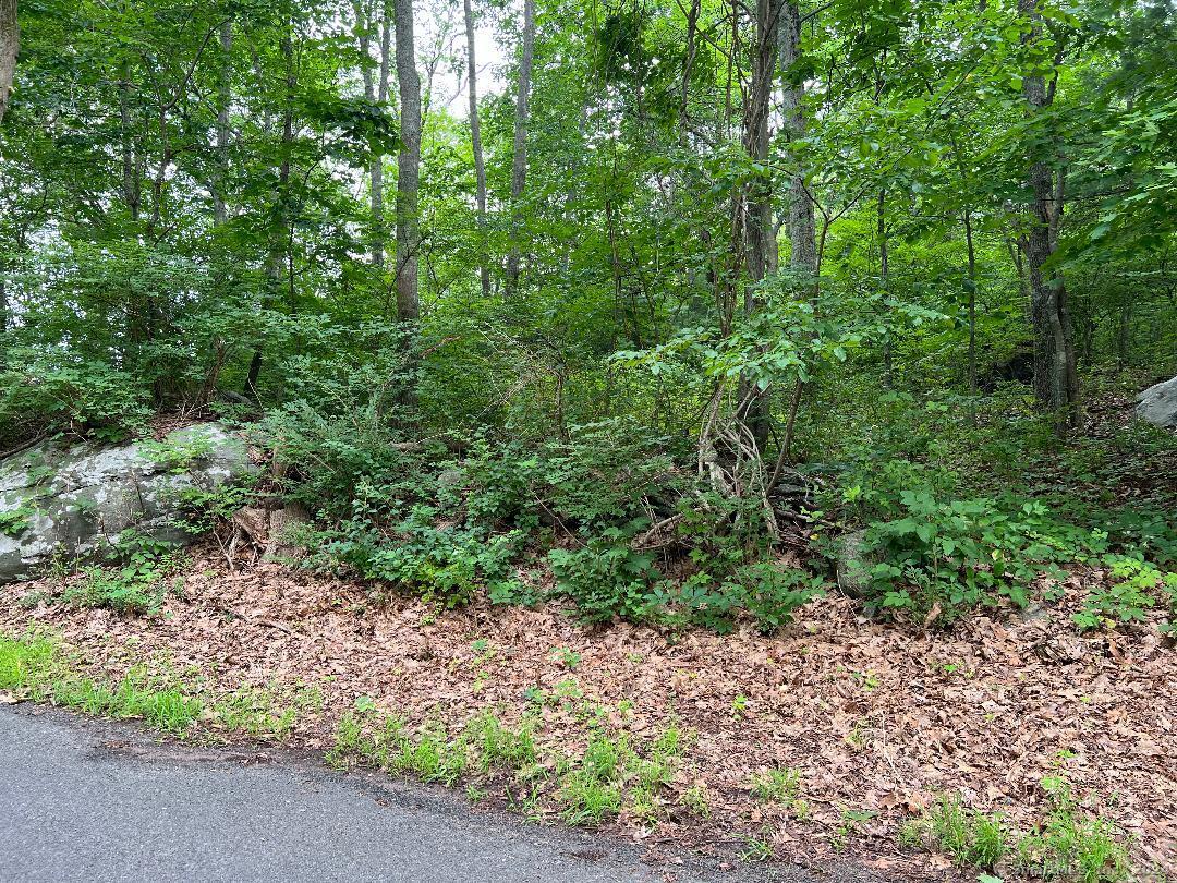 432 Cox Road, Unit 3 Portland, CT 06480 - Photo 7 of 12 a view of a large yard with lots of green space