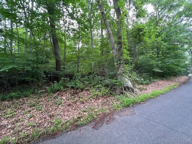 a view of a road with plants and trees