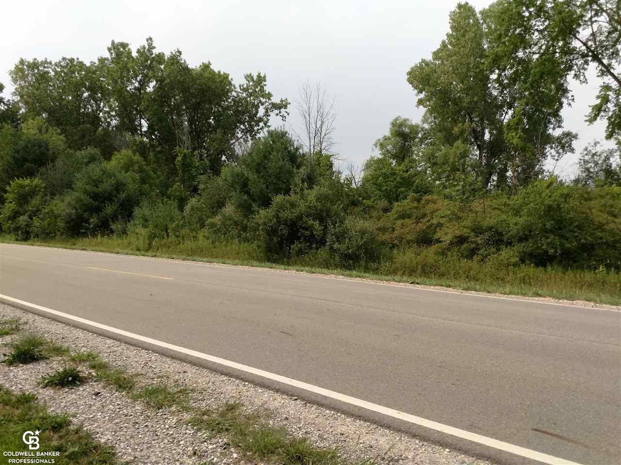East Galbraith Line Road Melvin, MI 48454 - Photo 4 of 10