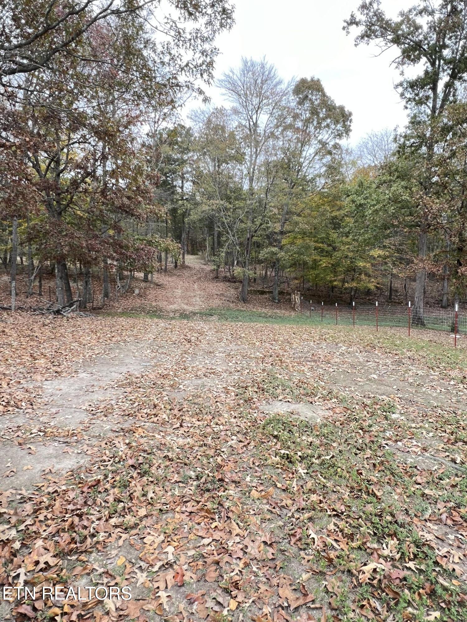 713 Co Road Athens, TN 37303 - Photo 2 of 11 IMG_5733