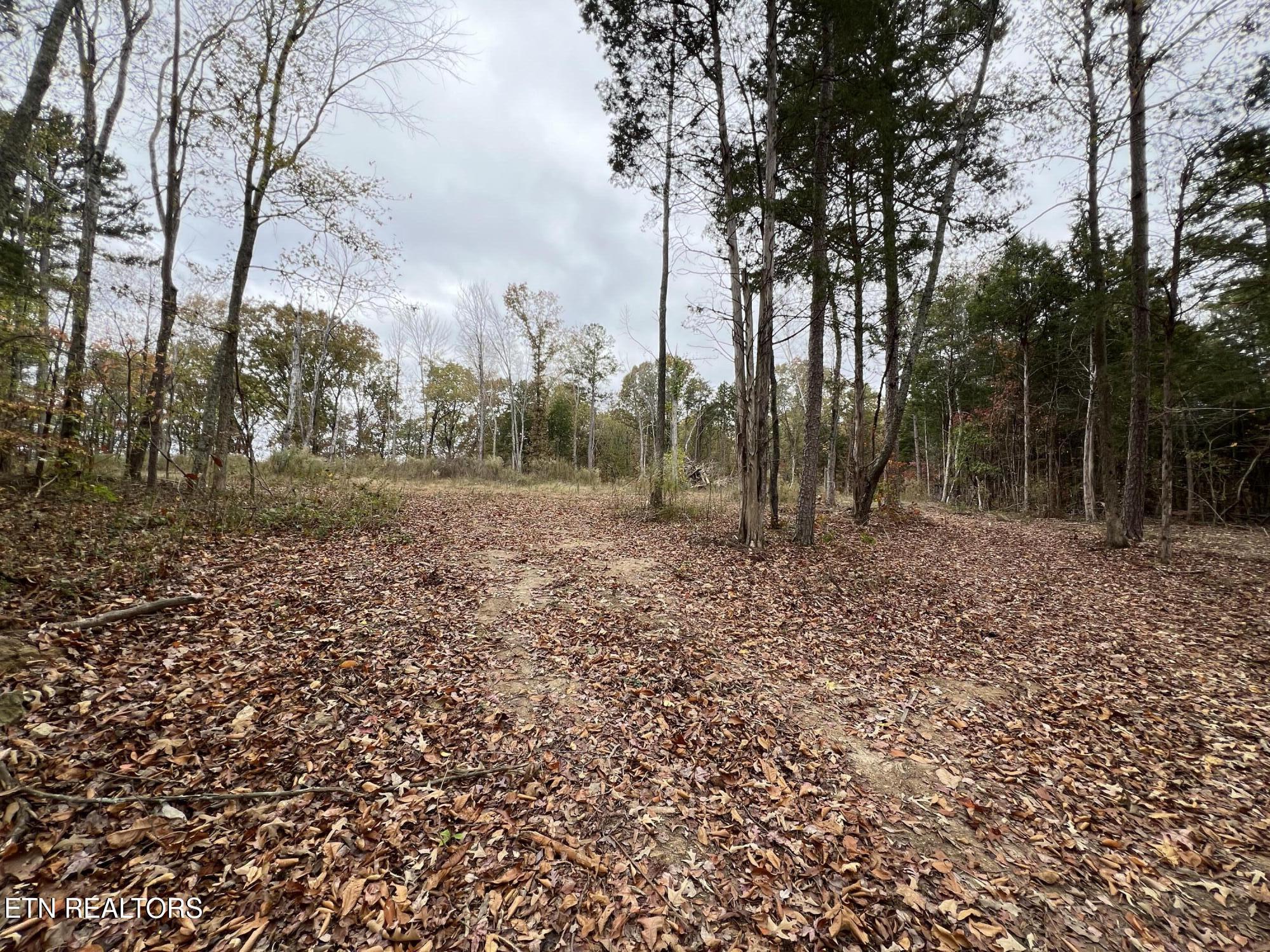 713 Co Road Athens, TN 37303 - Photo 3 of 11 IMG_5725
