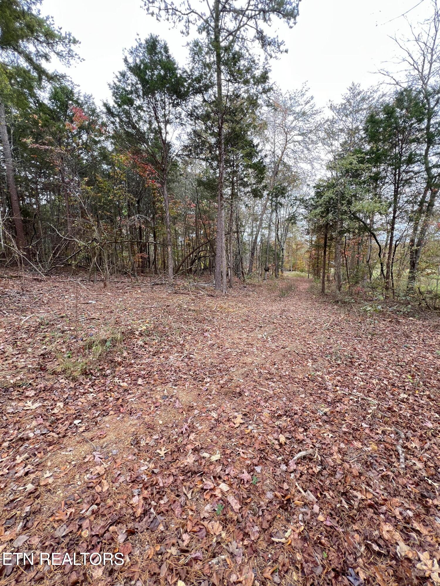 713 Co Road Athens, TN 37303 - Photo 5 of 11 IMG_5731