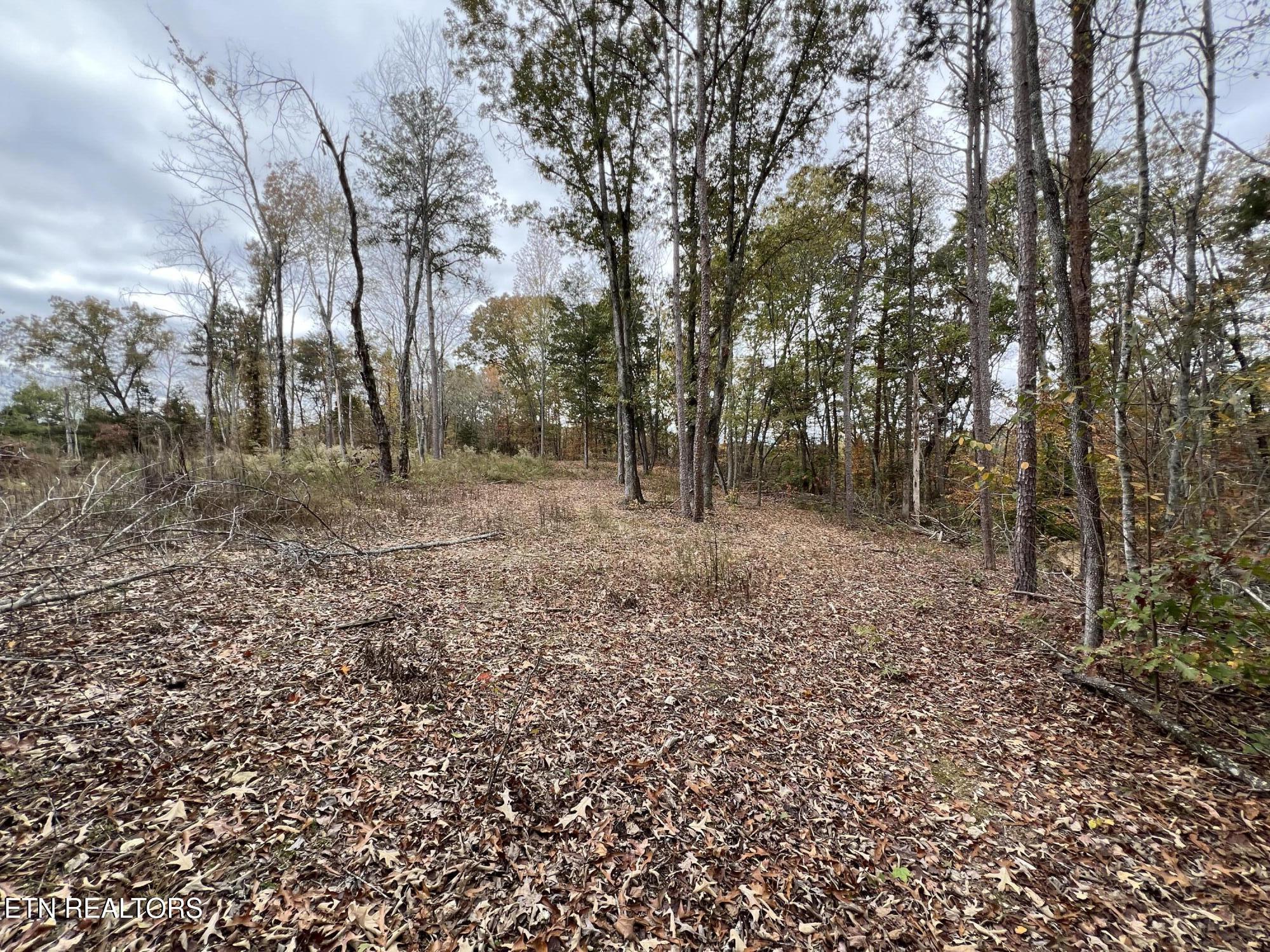 713 Co Road Athens, TN 37303 - Photo 6 of 11 IMG_5730