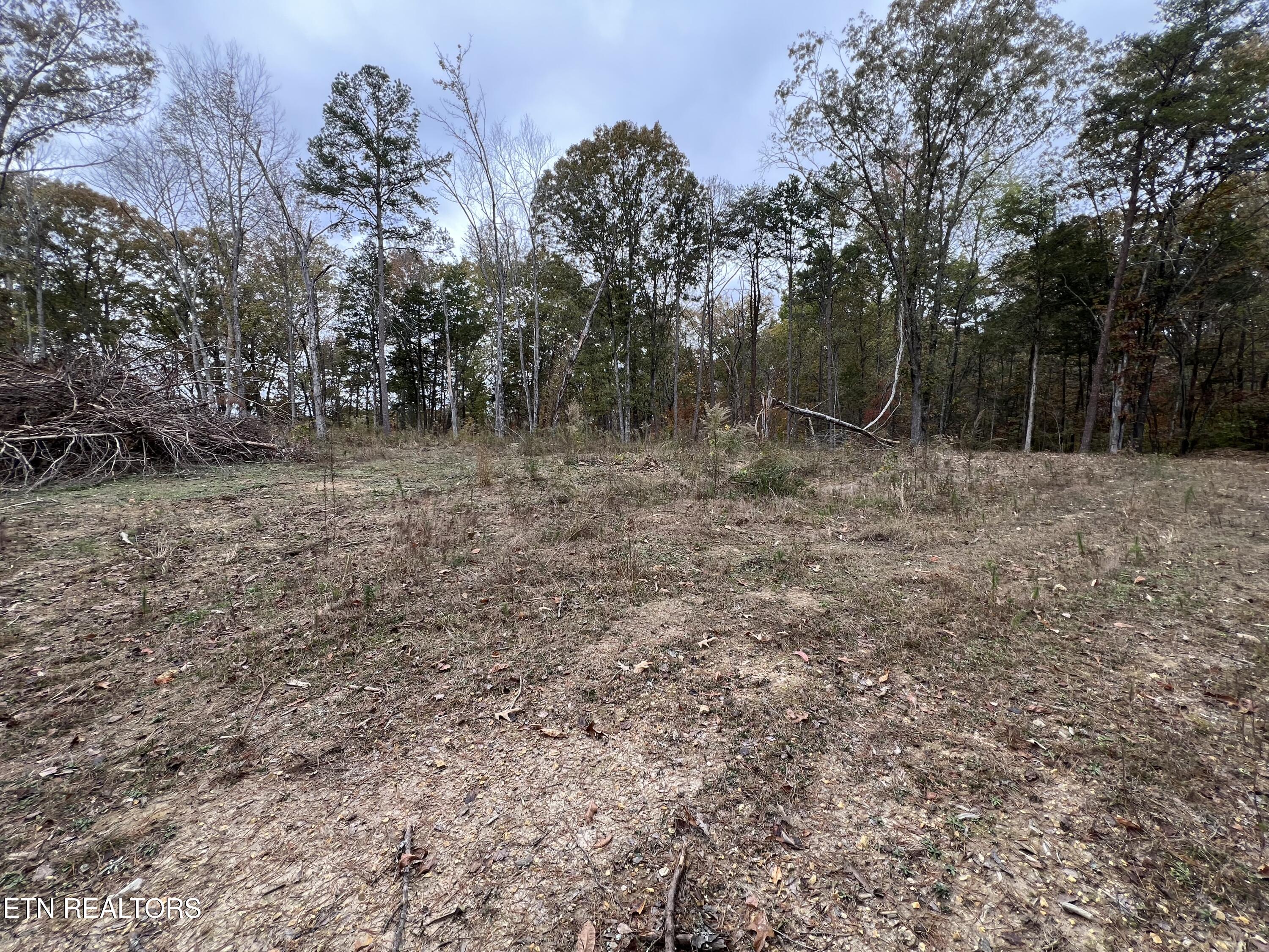 713 Co Road Athens, TN 37303 - Photo 7 of 11 IMG_5726