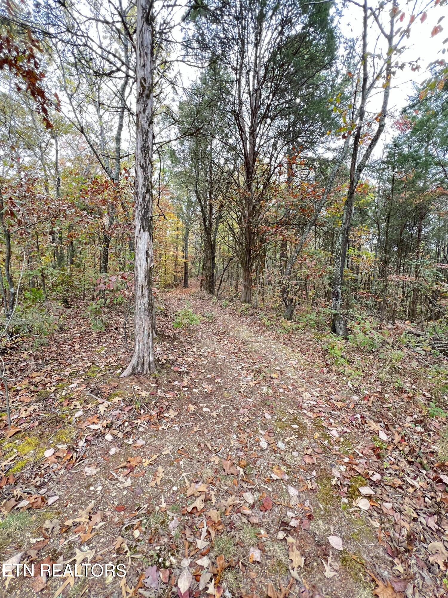 713 Co Road Athens, TN 37303 - Photo 8 of 11 IMG_5728