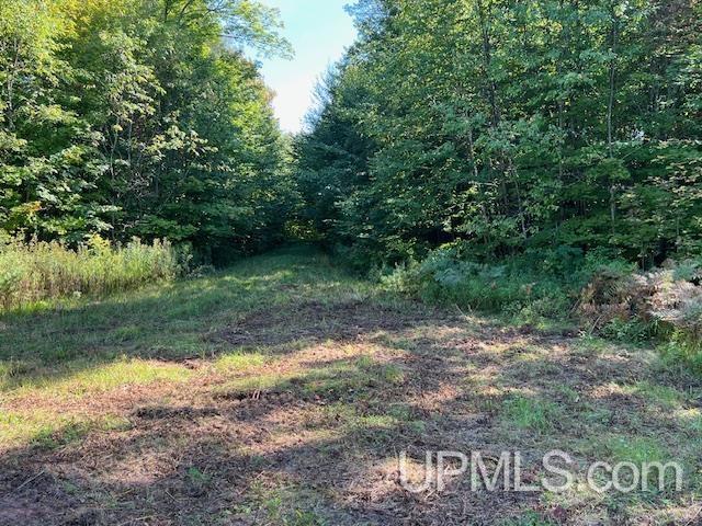 828 North County Road Wakefield, MI 49968 - Photo 28 of 34