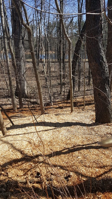 Lot 3 Barre Road Gilbertville, MA 01031 - Photo 2 of 6