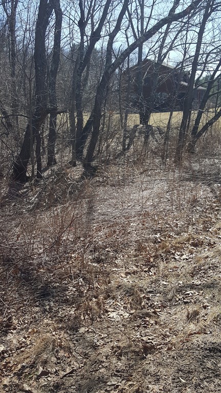 Lot 3 Barre Road Gilbertville, MA 01031 - Photo 5 of 6
