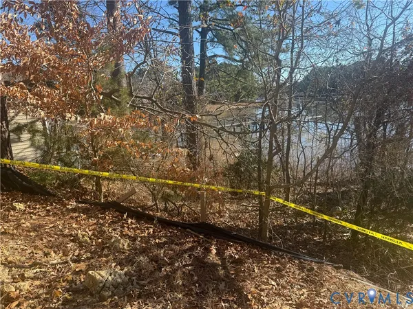 a view of a yard with large trees