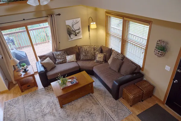 a view of backyard with plants and trees